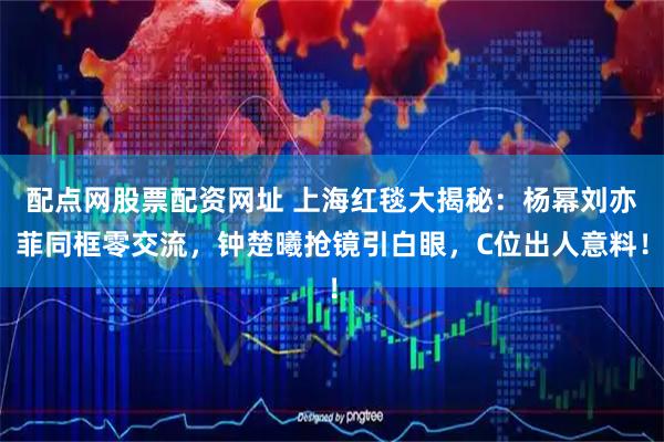 配点网股票配资网址 上海红毯大揭秘：杨幂刘亦菲同框零交流，钟楚曦抢镜引白眼，C位出人意料！