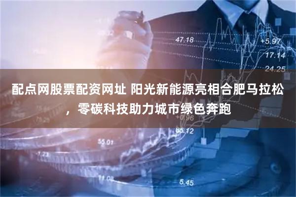 配点网股票配资网址 阳光新能源亮相合肥马拉松，零碳科技助力城市绿色奔跑