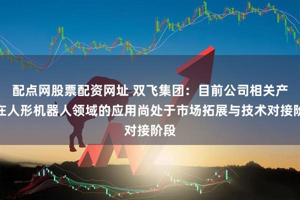 配点网股票配资网址 双飞集团：目前公司相关产品在人形机器人领域的应用尚处于市场拓展与技术对接阶段