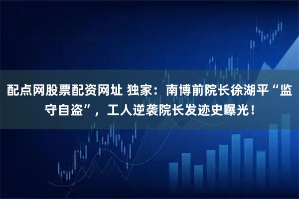 配点网股票配资网址 独家：南博前院长徐湖平“监守自盗”，工人逆袭院长发迹史曝光！