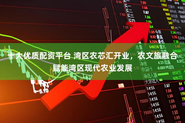 十大优质配资平台 湾区农芯汇开业，农文旅融合赋能湾区现代农业发展