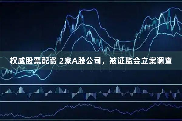 权威股票配资 2家A股公司，被证监会立案调查