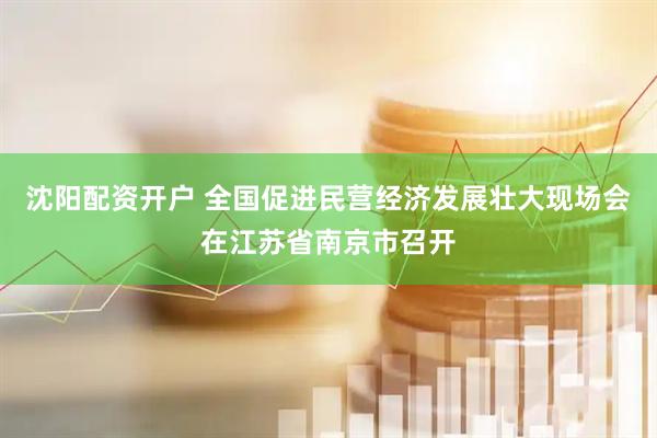沈阳配资开户 全国促进民营经济发展壮大现场会在江苏省南京市召开